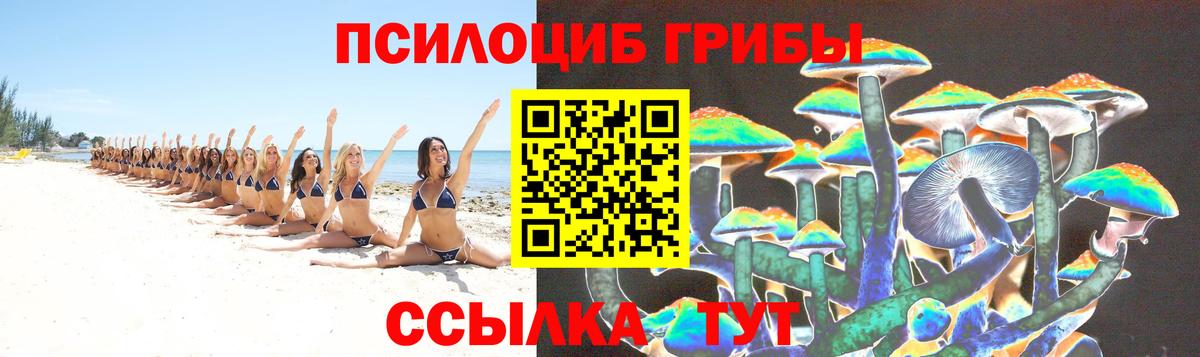 Псилоцибиновые грибы Cubensis  Вход с VPN  Галлюциногенные грибы Magic Shrooms  Елабуга 